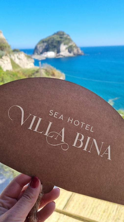 Villa Bina Sea Hotel Sant'Angelo  Exterior foto